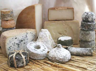 cheese