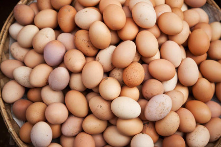 eggs