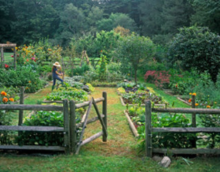 garden