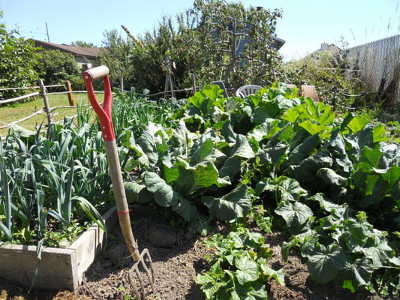 gardening-service