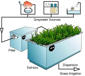 Graywater management