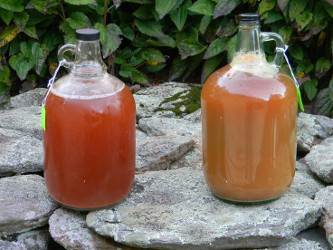 juice