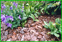 Mulch