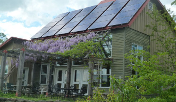net zero
