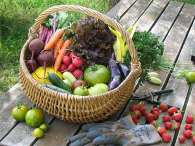 organic vegetables