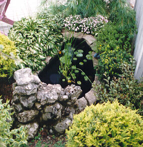 Plants